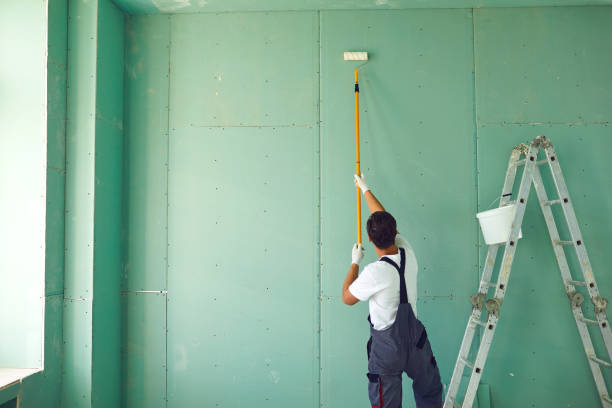 Best Ceiling Drywall Installation  in Borrego Springs, CA