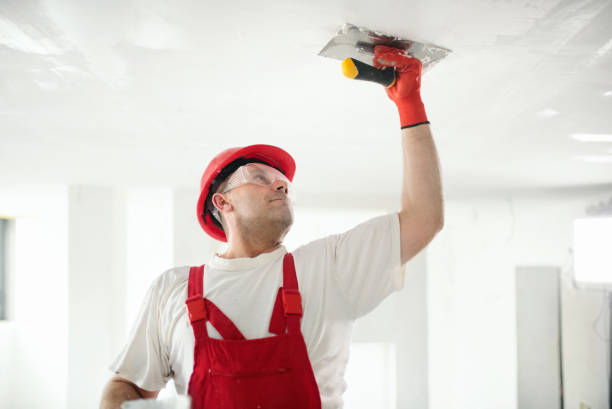 Best Exterior Painting  in Borrego Springs, CA