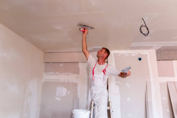 Best Remodeling Drywall  in Borrego Springs, CA